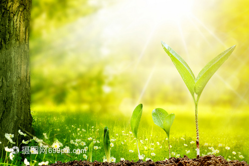 哪些微生物菌剂不能混用？