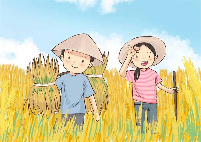 微生物菌剂与化肥配合使用的核心好处