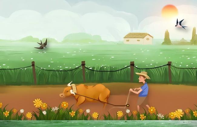 微生物菌剂和化肥哪个对环境更友好？