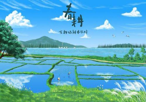 春季种植施肥技巧