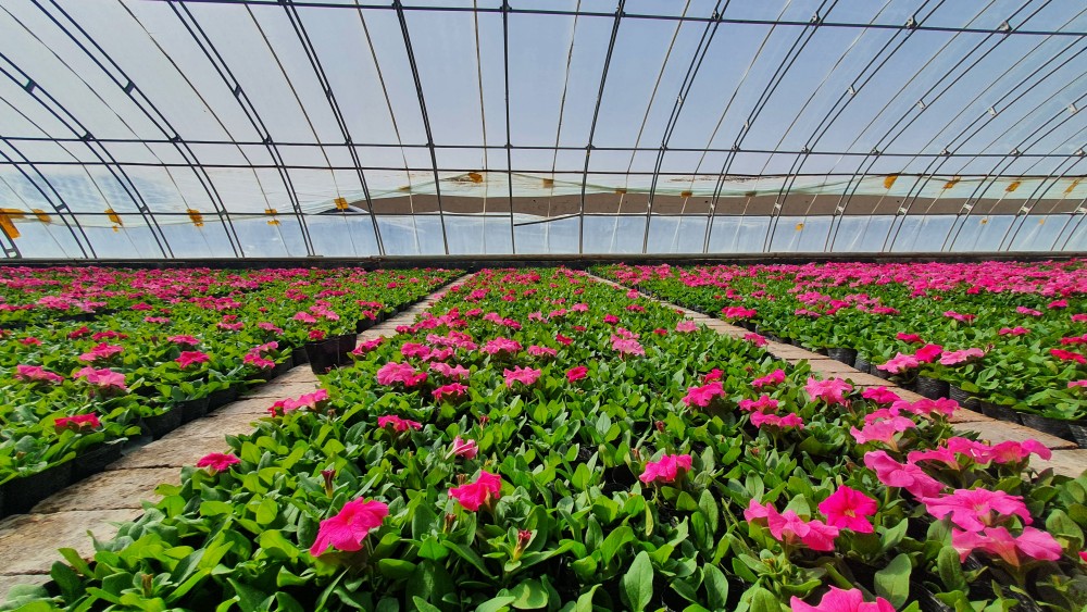 肥料知识：选肥的核心知识