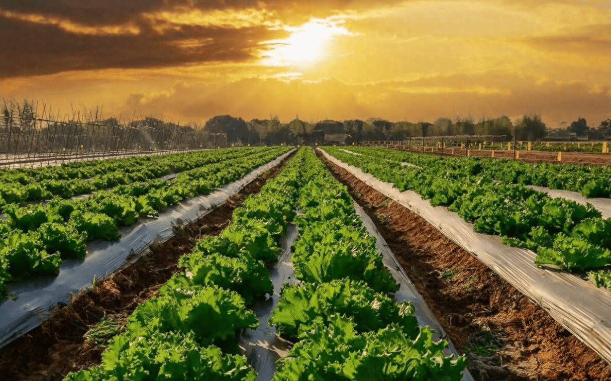微生物菌剂储存方法