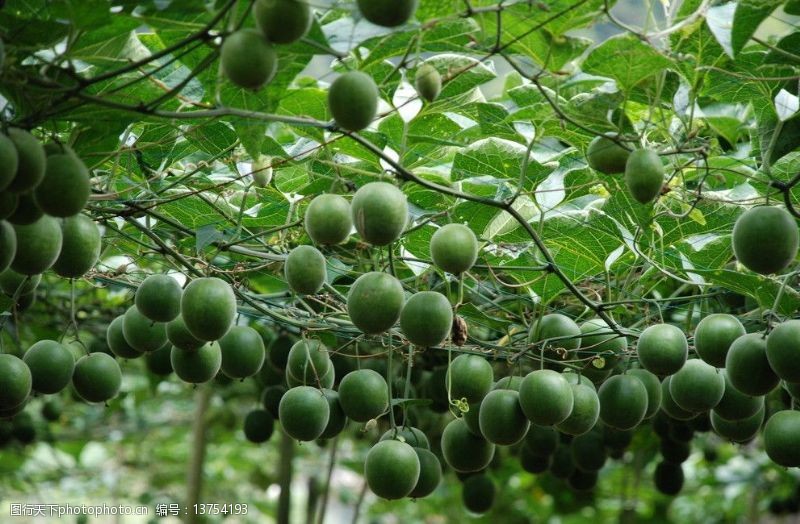 微生物菌剂过期后有什么特征？