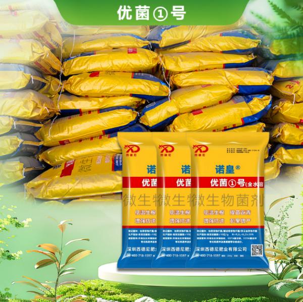  西德尼优菌①号